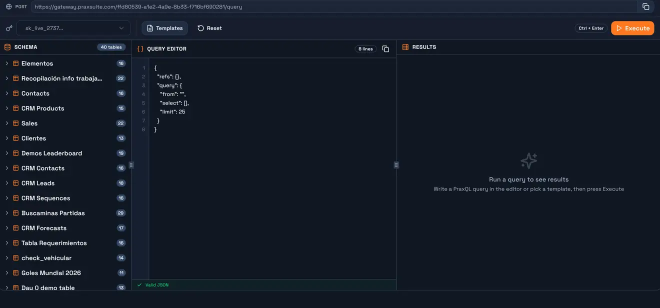 The Playground: endpoint bar, credential selector, schema panel, query editor and results
