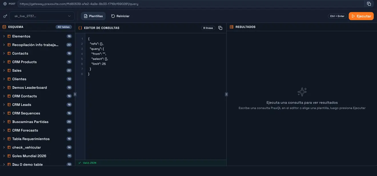 El Playground: barra del endpoint, selector de credencial, panel de esquema, editor y resultados