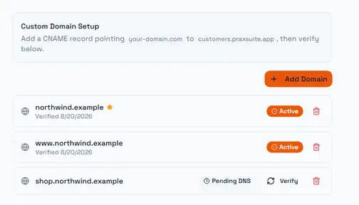 The domains screen: setup instructions, two active domains and one still pending verification