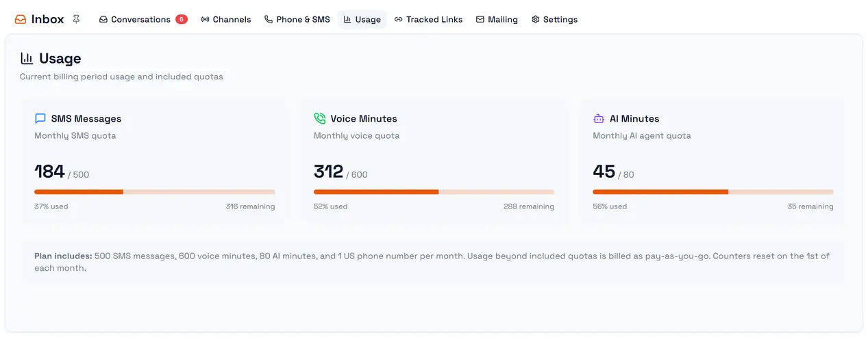Usage: SMS, voice and AI minutes used in the period against what is included.