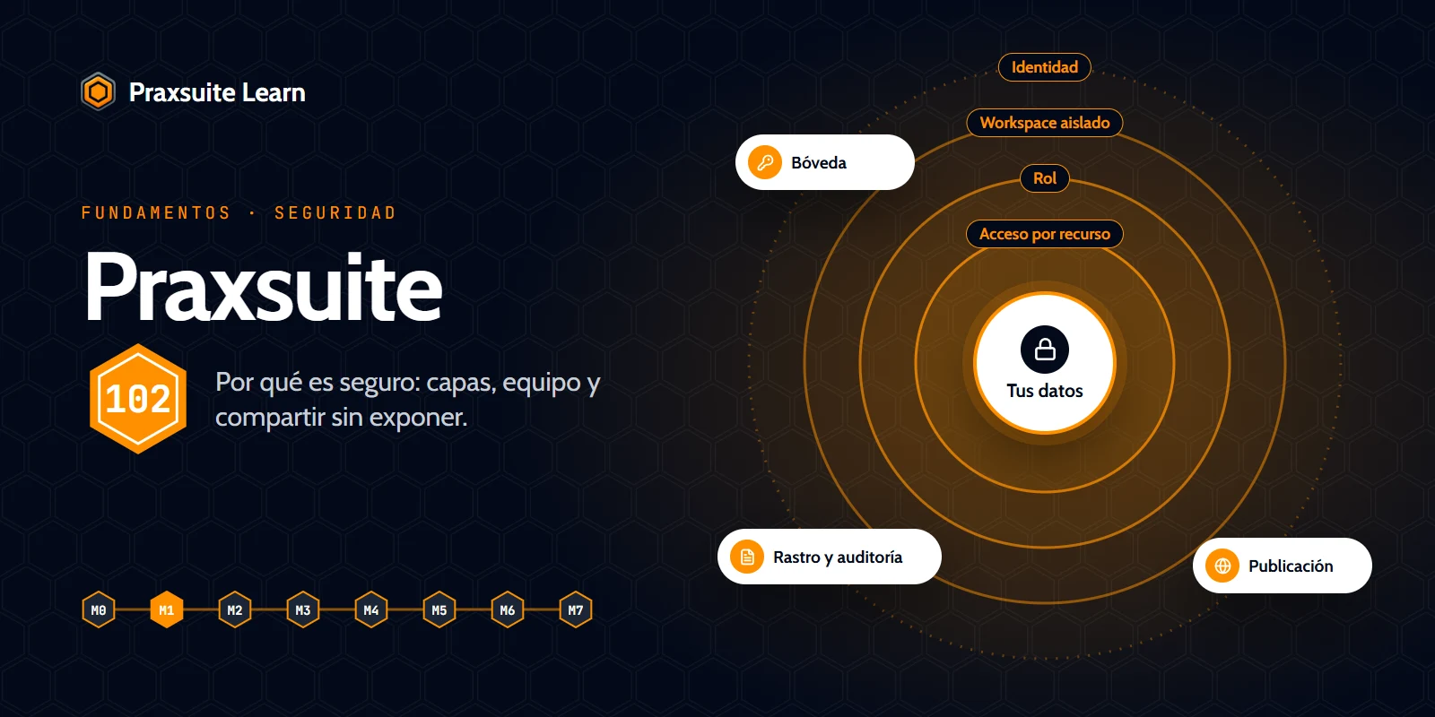 Portada del curso Praxsuite 102 — Seguridad y trabajo en equipo