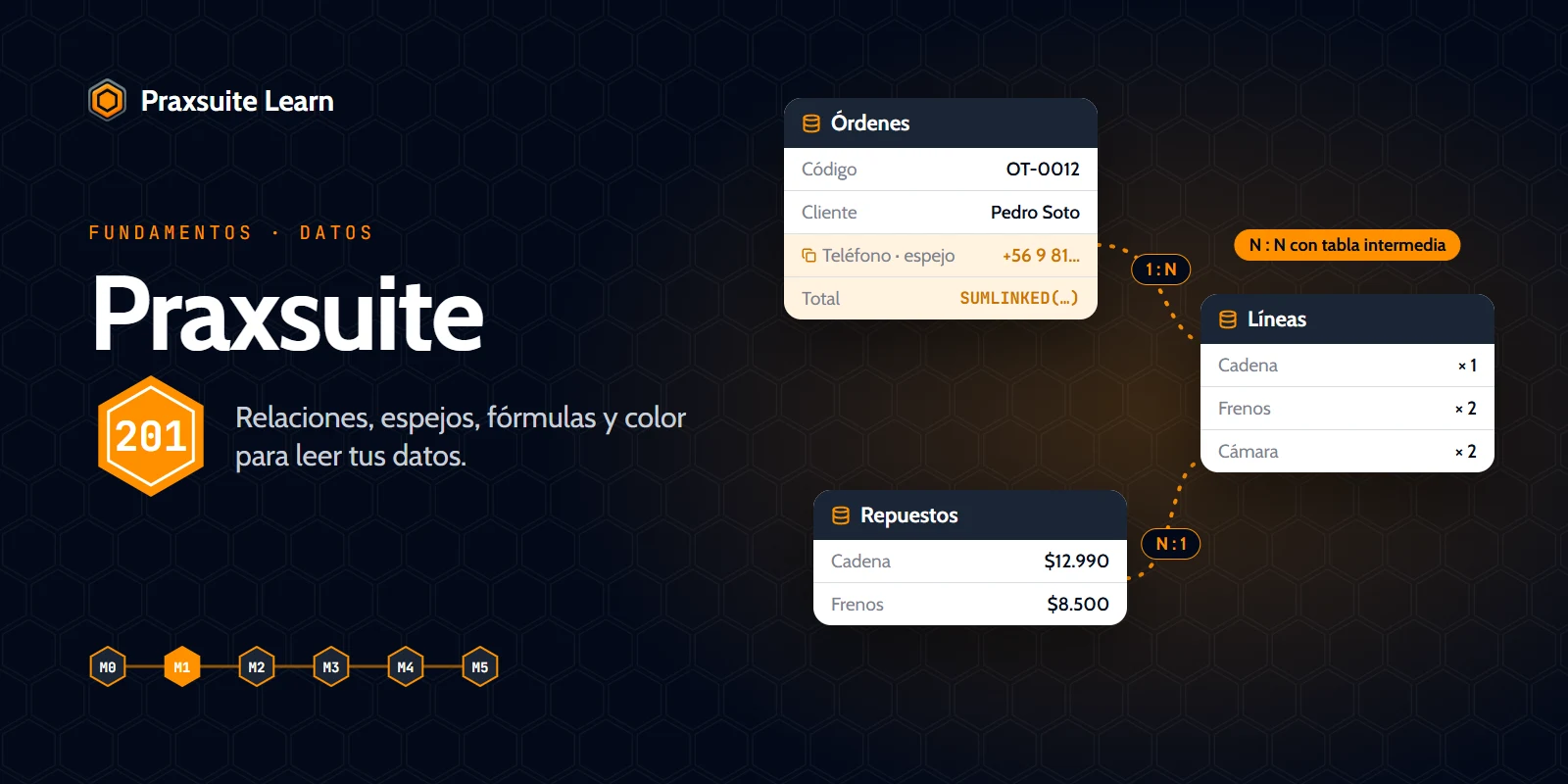 Portada del curso Praxsuite 201 — Datos