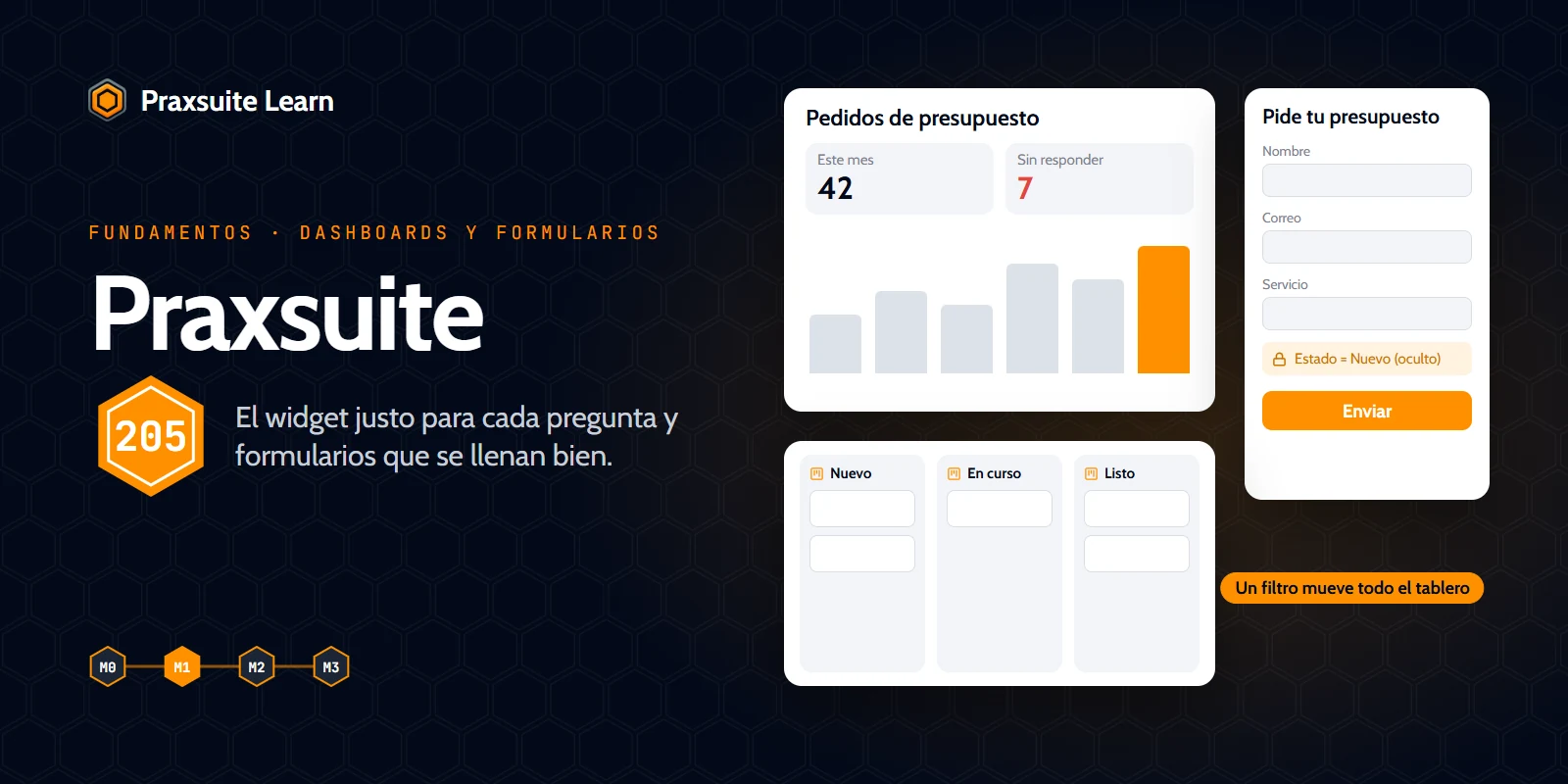 Portada del curso Praxsuite 205 — Dashboards y formularios