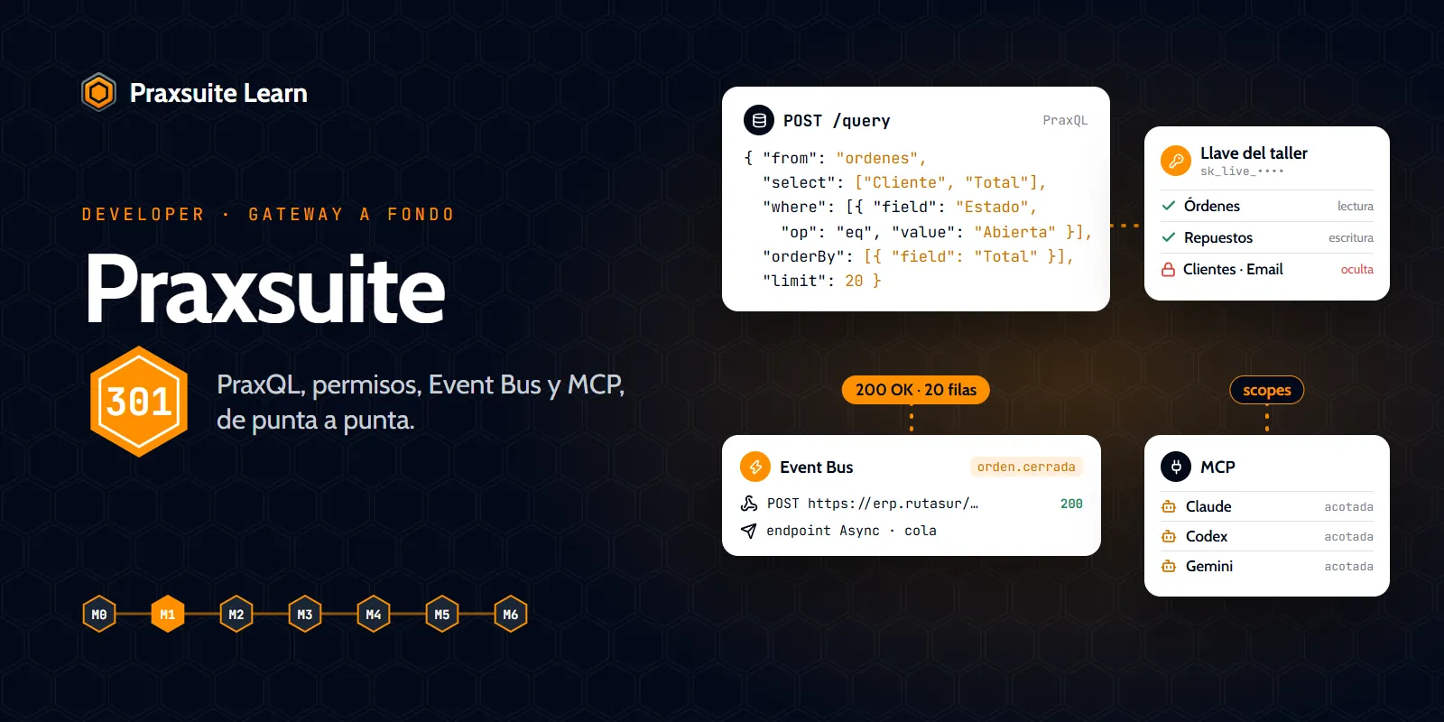 Portada del curso Praxsuite 301 — El Gateway a fondo